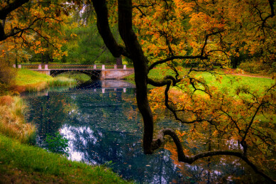 俄罗斯圣彼得堡叶卡捷琳娜宫及花园风景