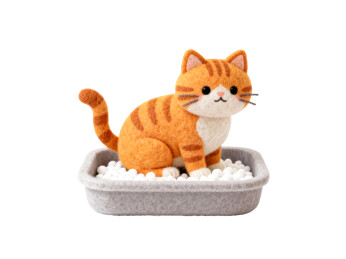 一只猫在猫砂盆上厕所毛毡风格免抠元素