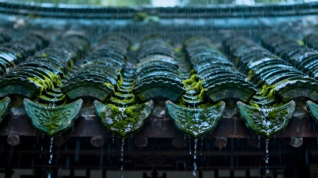 雨中青瓦滴水古韵悠然