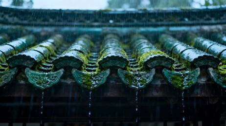 雨中青瓦滴水古韵悠然