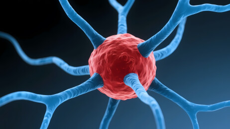 红色球体与蓝色分支结构