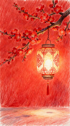 灯笼梅枝红色景象