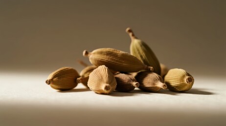 干燥豆蔻果实特写