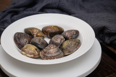 桌面餐具放着新鲜文蛤蛤蜊生鲜食材水产品
