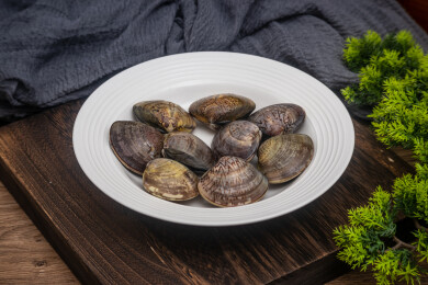 桌面餐具放着新鲜文蛤蛤蜊生鲜食材水产品