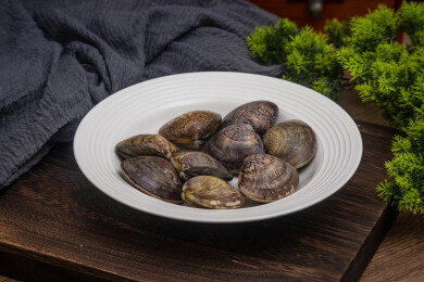 桌面餐具放着新鲜文蛤蛤蜊生鲜食材水产品