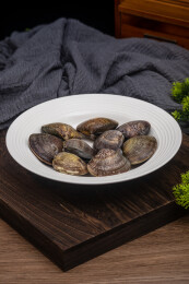 桌面餐具放着新鲜文蛤蛤蜊生鲜食材水产品