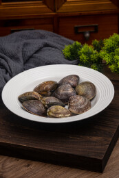 桌面餐具放着新鲜文蛤蛤蜊生鲜食材水产品