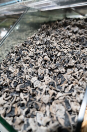 亚洲中国超市的亚克力货架上摆满长白山秋耳