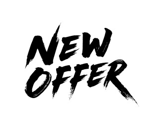 新价格折扣营销优惠书法毛笔字