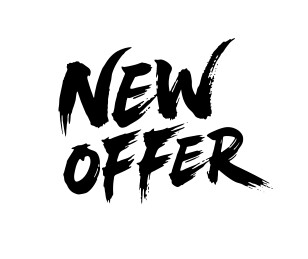 新价格折扣营销优惠书法毛笔字