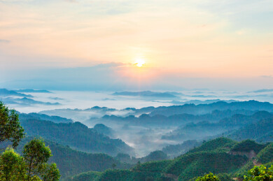 山间林海晨雾日出熔金景观