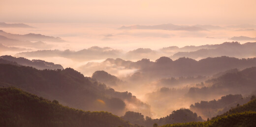 山间林海晨雾日出熔金景观