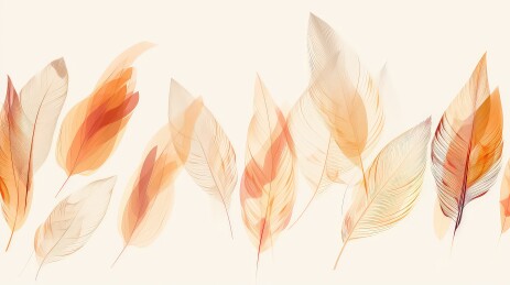 淡雅羽毛背景图