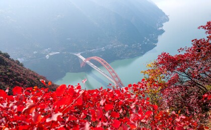 中国重庆巫山长江三峡巫峡红叶季