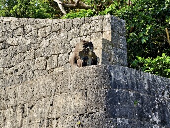 日本冲绳县那霸市，世界文化遗产玉陵