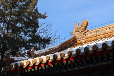 北京初雪后颐和园南湖岛上古建筑的屋檐雪景
