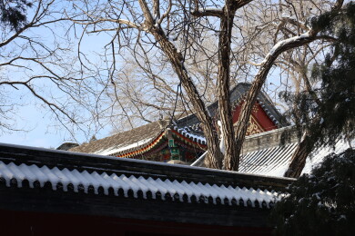 北京初雪后颐和园南湖岛上古建筑的屋檐雪景