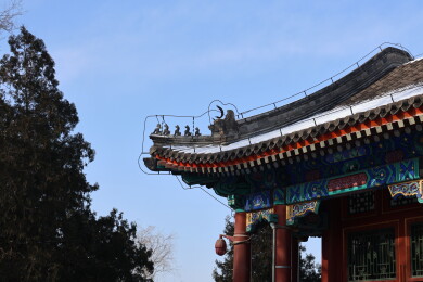 北京初雪后颐和园南湖岛上古建筑的屋檐雪景