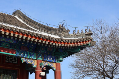 北京初雪后颐和园南湖岛上古建筑的屋檐雪景