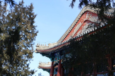 北京初雪后颐和园南湖岛上古建筑的屋檐雪景