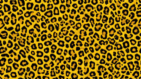 经典时尚野性豹纹图案背景