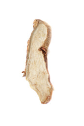 中医中药材饮片知母