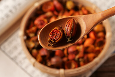 中医中药材饮片栀子
