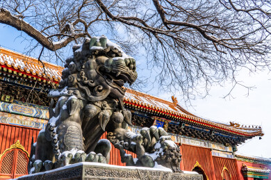 北京东城区雍和宫下雪后的铜狮子