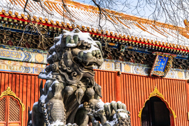 北京东城区雍和宫下雪后的铜狮子