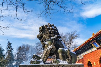 北京东城区雍和宫下雪后的铜狮子