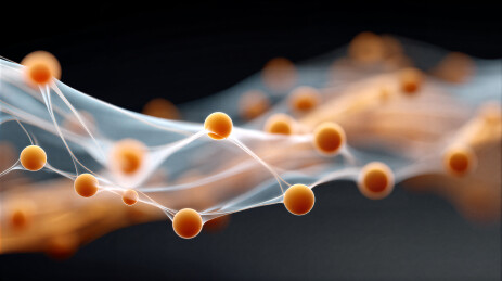 微观粒子与丝状结构