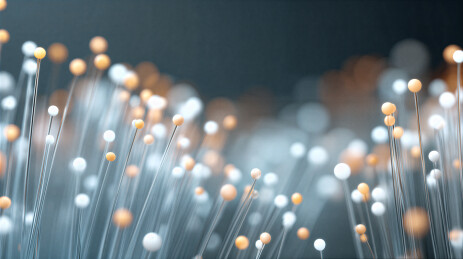 梦幻光斑与细长茎秆的抽象画面