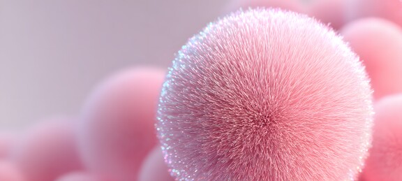 粉色绒球特写