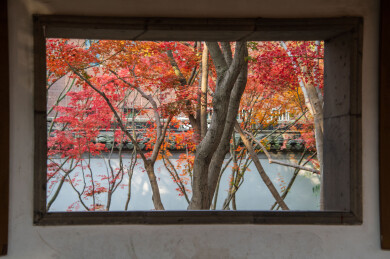 中国上海嘉定秋霞圃初冬风光