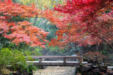 中国上海嘉定秋霞圃初冬风光