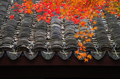 中国浙江杭州玛瑙寺初冬风光