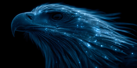 全息粒子化的鹰特写