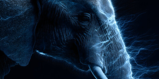 由蓝色发光粒子塑造的大象侧脸特写