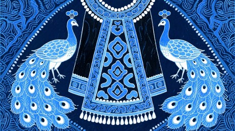 民族风格孔雀服饰插画