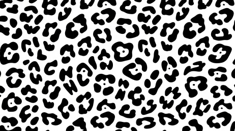黑白豹纹图案