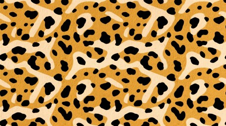 豹纹图案纹理
