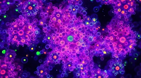 绚丽病毒群的微观之境