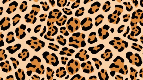 豹纹图案背景