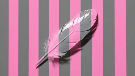 粉色羽毛条纹艺术插画