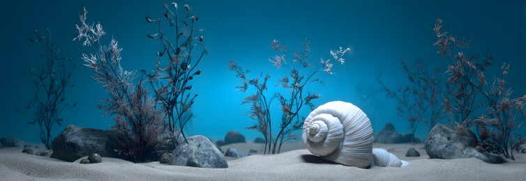 海底世界静谧景象