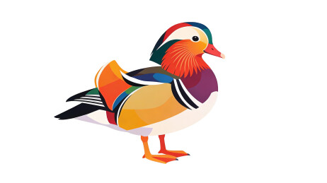 色彩斑斓的鸭子插画