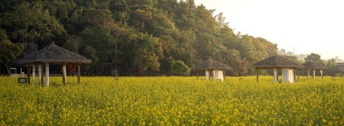 福建厦门海沧区天竺山花海中的茅草亭