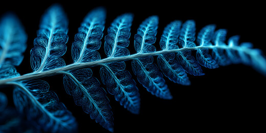 蓝色粒子化蕨类植物