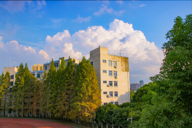 校园建筑与绿树蓝天